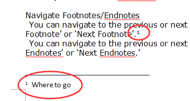 footnote vs. endnote format